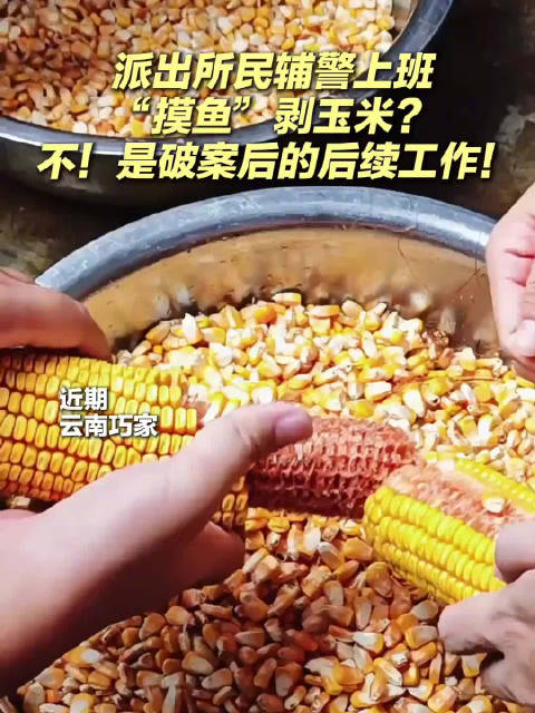 民警加班搓玉米