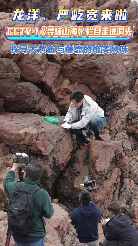 央视寻味山海走进温州洞头，龙洋严屹宽探秘大黄鱼藤壶