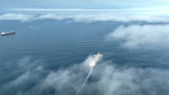 时习之丨以“地瓜”为喻,习近平生动诠释亚太合作