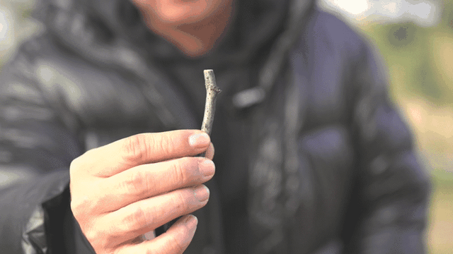 千元非常規對標萬元極地防寒標準,抗凍力殺瘋_新浪眾測