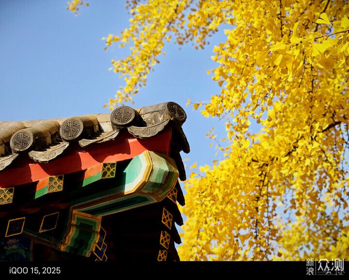 詳談iQOO15手機的拍照功能的強大和樂趣多多_新浪眾測