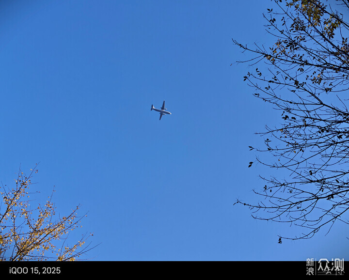 詳談iQOO15手機的拍照功能的強大和樂趣多多_新浪眾測