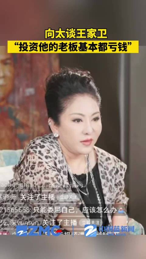 向太说王家卫没有张叔平是个屁