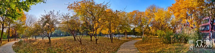 詳談iQOO15手機的拍照功能的強大和樂趣多多_新浪眾測