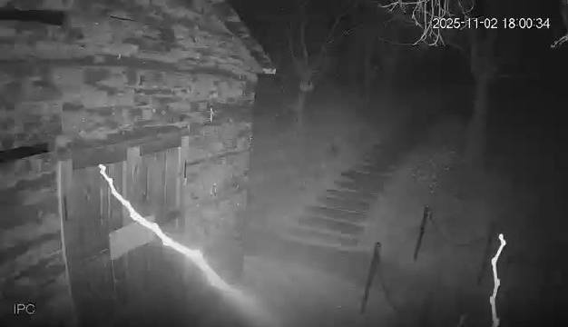 黑龙江一景区有黑熊出没