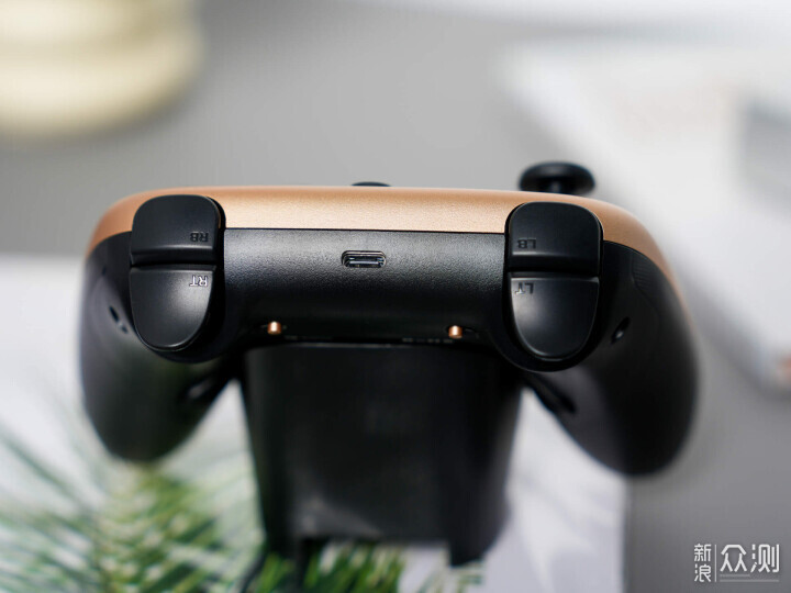 為了那句“小孩依舊”,我入手了這款冠軍手柄_新浪眾測