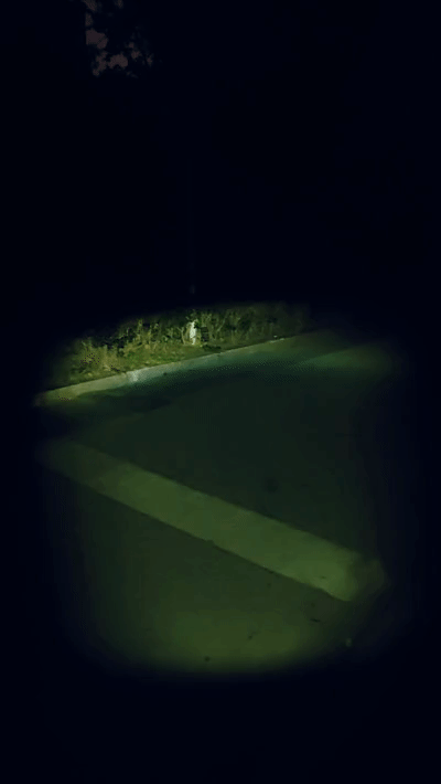 雙十一必入的假日休閑必備好物，實測好用推薦_新浪眾測