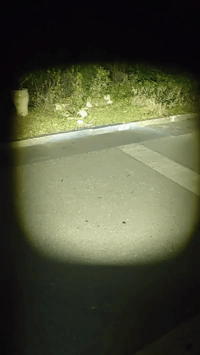 雙十一必入的假日休閑必備好物，實測好用推薦_新浪眾測