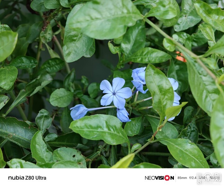 雙十一必入的假日休閑必備好物，實測好用推薦_新浪眾測