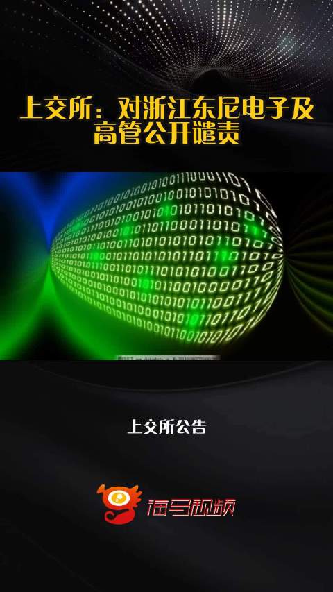 上交所：对浙江东尼电子及高管公开谴责