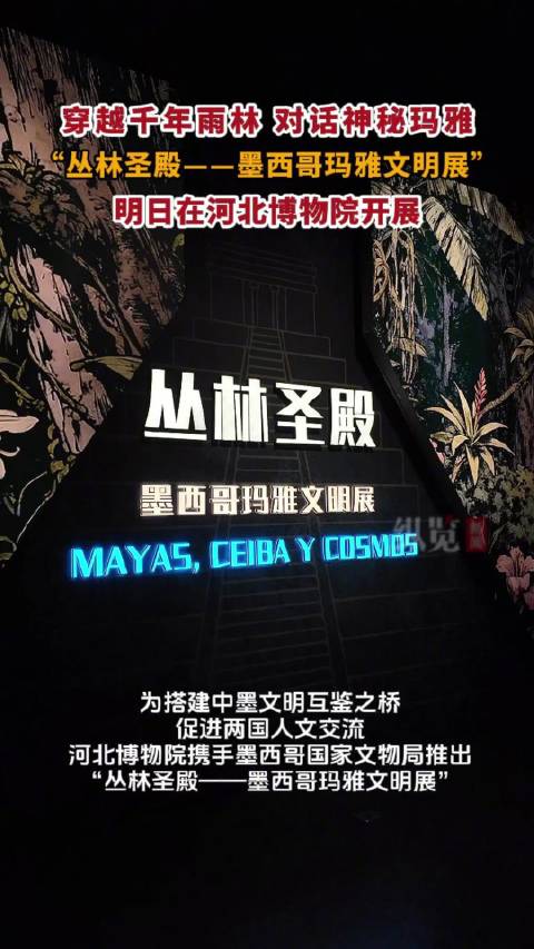 河北博物院联袂墨西哥推出玛雅文明展|河北省博物馆|河北省|北美旅行|墨西哥国家文物局|丛林