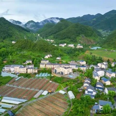 泰安巫溪两携手 共谱一段“山海情”