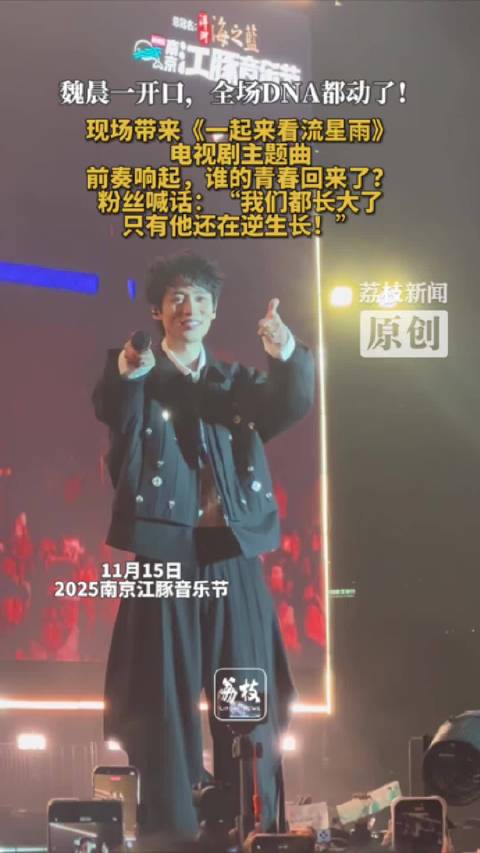 魏晨一开口全场DNA都动了 魏晨音乐节唱流星雨爷青回