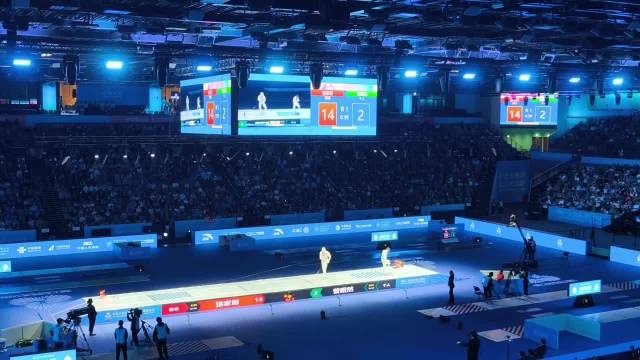 张家朗获十五运会男子花剑个人铜牌