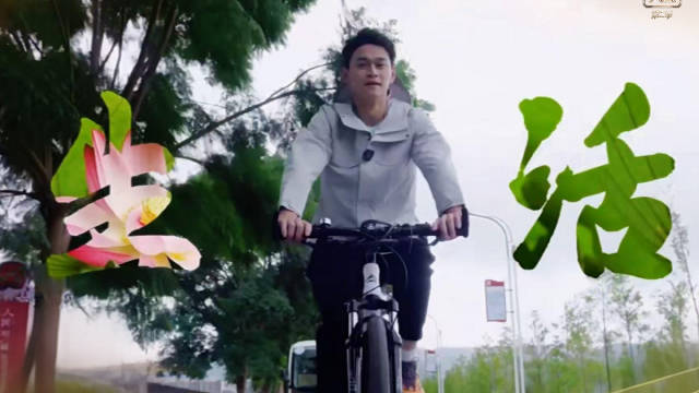 孙杨说杭州是短视频创业的蓝海