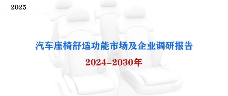 2024-2030年汽车座椅舒适功能市场及企业调研报告