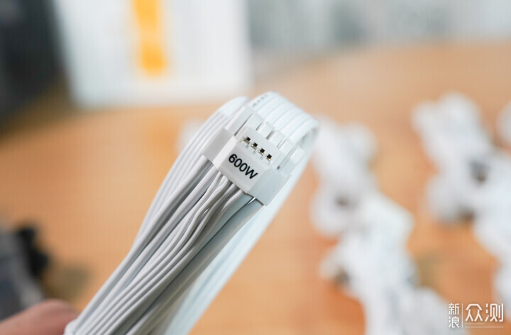 電腦電源水晶靚盲插易，振華LEADEX PROA 850W_新浪眾測