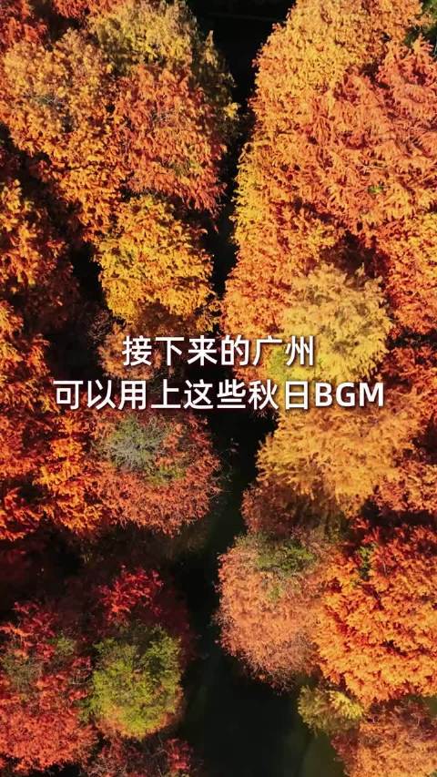 广州秋日自驾游推荐，白云山等地赏威气秋景