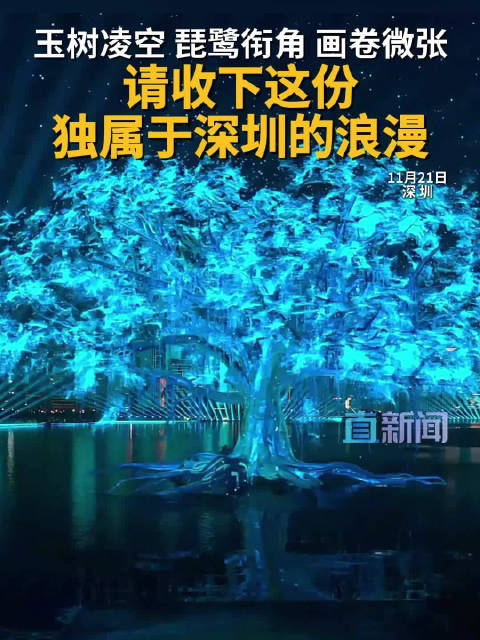 玉树凌空 琵鹭衔角 画卷微张 请收下这份 独属于深圳的浪漫