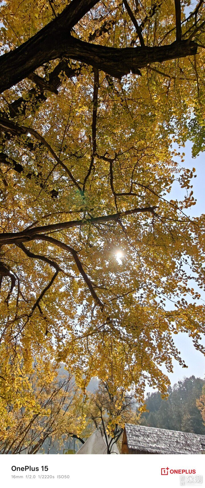 一加15跟iQOO 15究竟哪個更值得？_新浪眾測