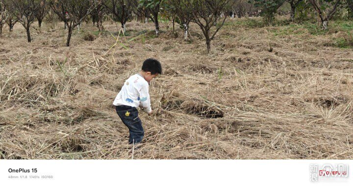 一加15跟iQOO 15究竟哪個更值得？_新浪眾測