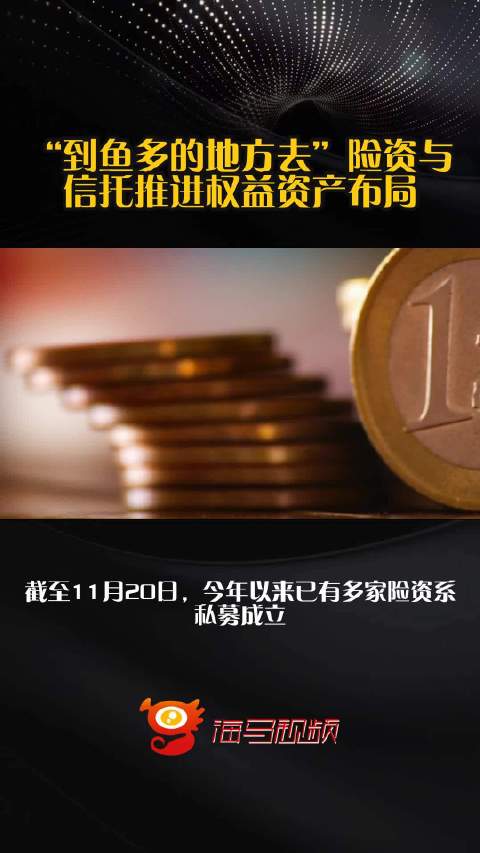 “到鱼多的地方去”险资与信托推进权益资产布局