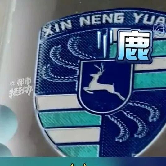 大爷花2万多网购“高配卡宴”，到手变“保时捷鹿”，厂家回应：已卖出八九个月，做人不能太过分