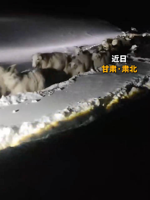 民警闯山区救人