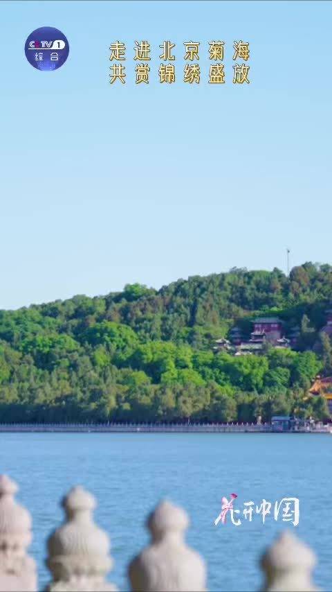 北京有1100多个大花园