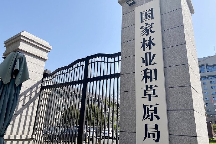 外来物种入侵风险有多大？一条走私鱼真的能毁掉本土生态吗？