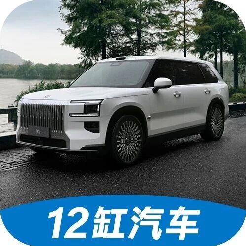 极氪9X上市两个月卖了1万辆，50万买国产车面子和里子能兼得吗？