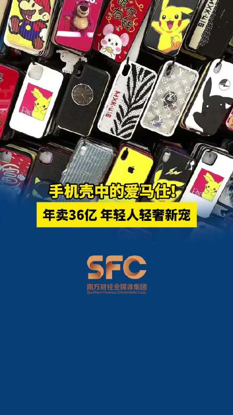 手机壳中的爱马仕年卖36个亿，年轻人轻奢新宠