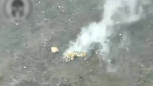 乌狙击手平原上穿着伪装衣一动不动 被俄无人机瞬间发现遭袭身亡