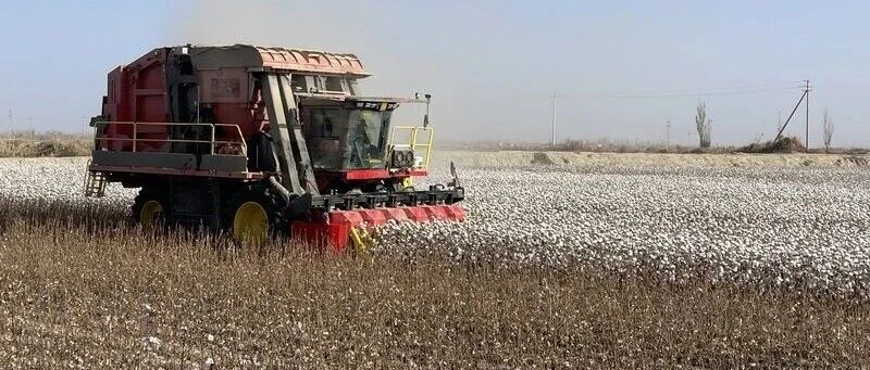农业农村部农业机械化总站在新疆开展国产棉花混动收获机综合测评