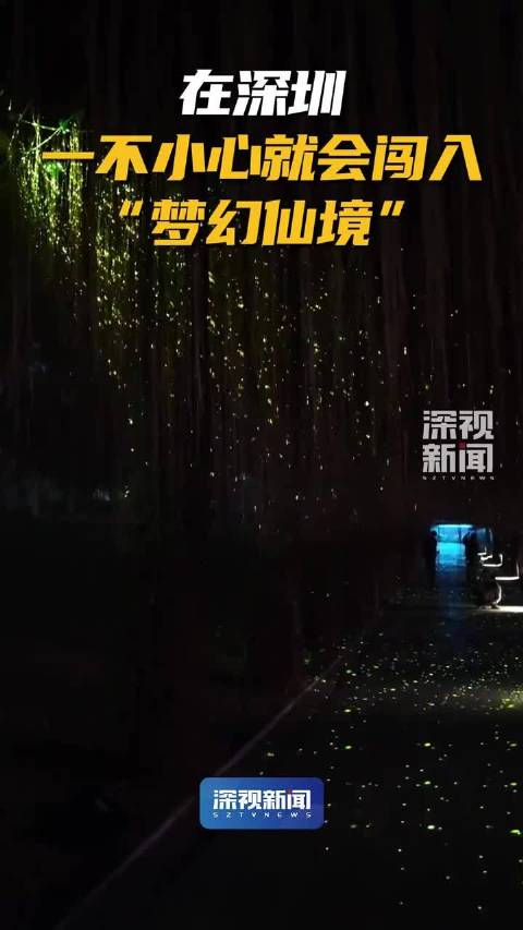 深圳桂湾公园现萤火虫走廊，市民偶遇梦幻仙境
