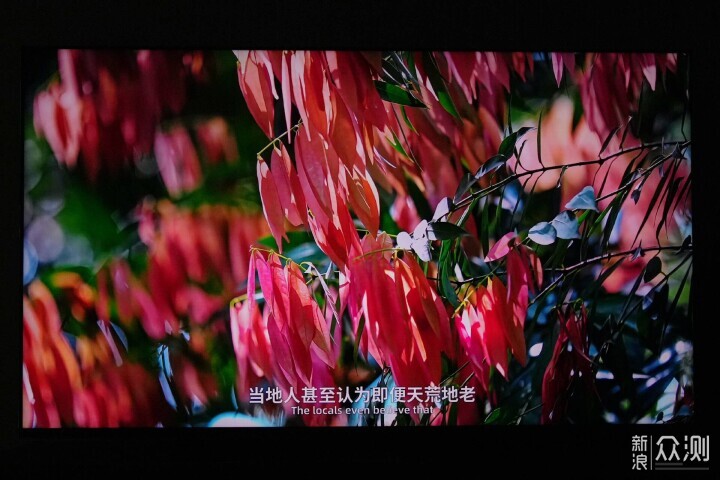 什麼是RGB-Mini LED電視?海信85U7S Pro如何_新浪眾測