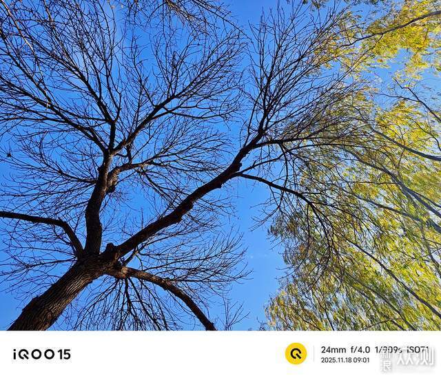 年度手機強者,iQOO15深度體驗後的驚喜發現_新浪眾測