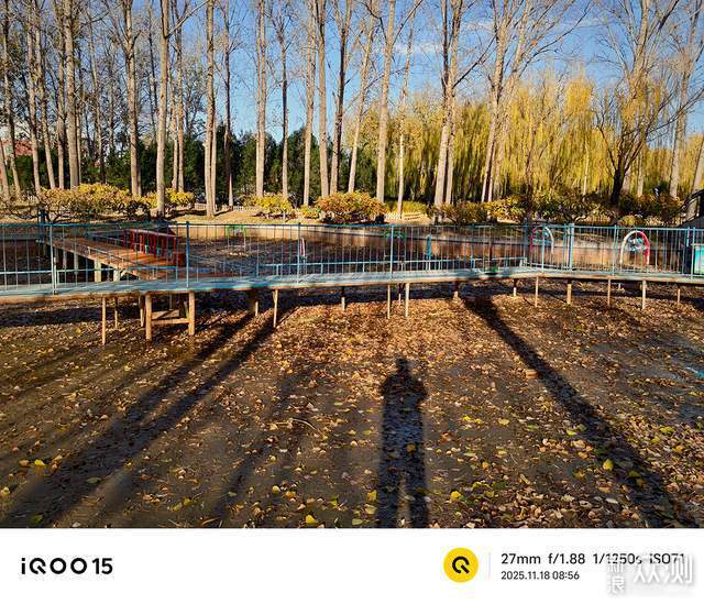 年度手機強者,iQOO15深度體驗後的驚喜發現_新浪眾測