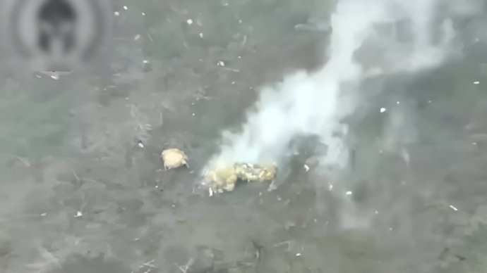 乌狙击手伪装潜伏被俄无人机袭杀