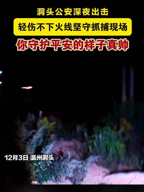 洞头新警黄晟负伤追捕嫌疑人成功抓获