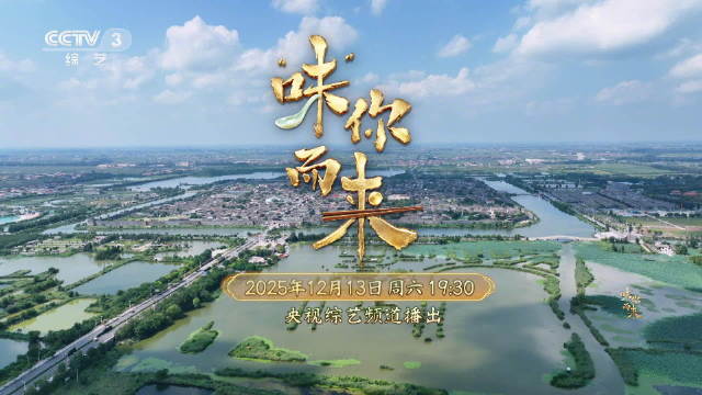 邯郸文旅宣传片12月13日上线，杨帆胡夏等明星助阵