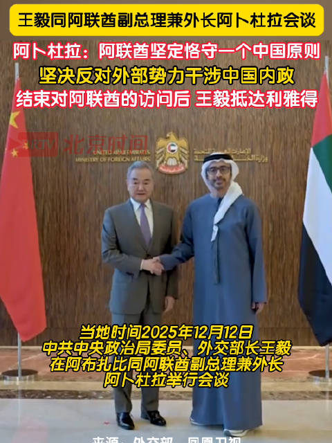 王毅会见阿联酋外长