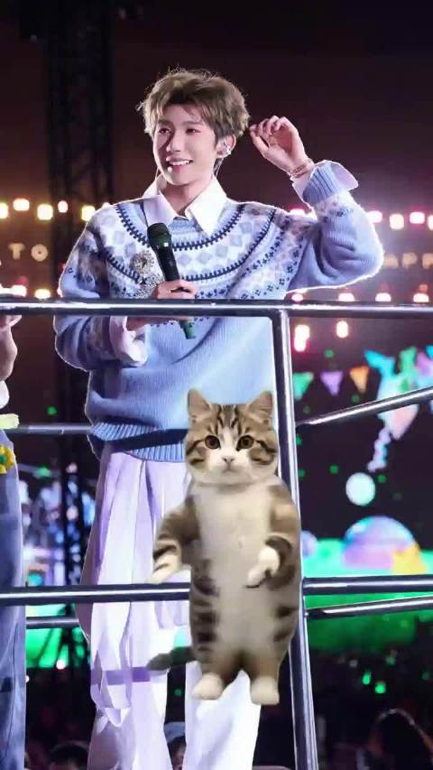 小猫跳舞，从左边看是萌，从右边看也是萌，听懂举手