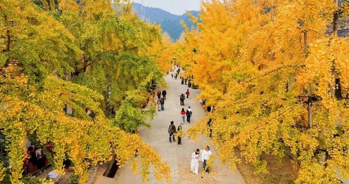 从驿站到目的地：广东服务区自驾游如何重塑文旅经济版图