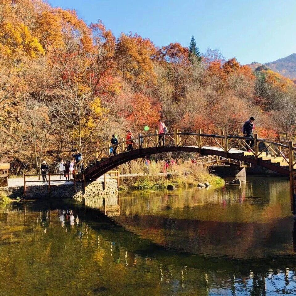 【深交所投教】  《定投大爆料》第6期：定投不止盈=白忙活？如何判断止盈时机？