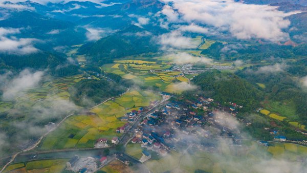 亮剑！湖南以监管执法筑牢移动源污染防控底线