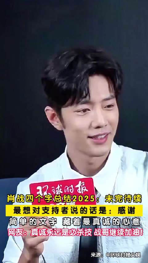 肖战四个字总结2025