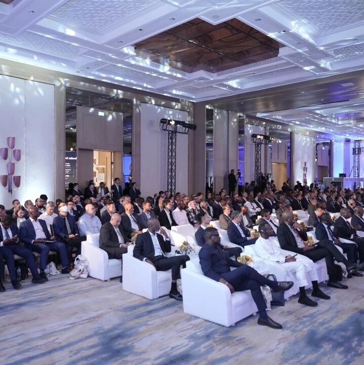 IIGF新闻 | 中财大绿金院专家受邀出席北部非洲普惠能源峰会