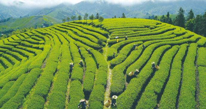 梁永安：但凡喜欢这两样东西的人，都是温润之人