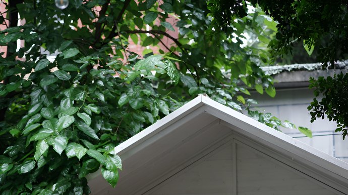 丁真劝向佐扛不住别混 向佐回应不退圈